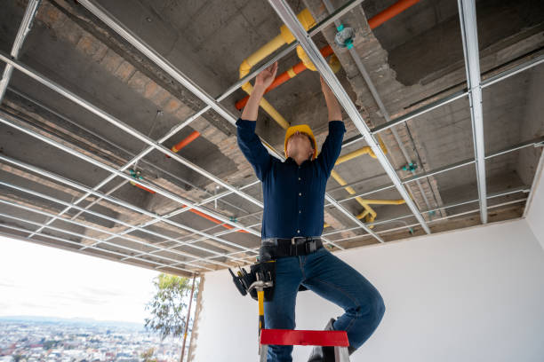 Best Plumbing Inspection Services  in Pontiac, IL